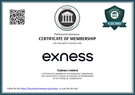 Exploring the Exness Terminal A Comprehensive Guide to Trading Exploring the Exness Terminal A Comprehensive Guide to Trading